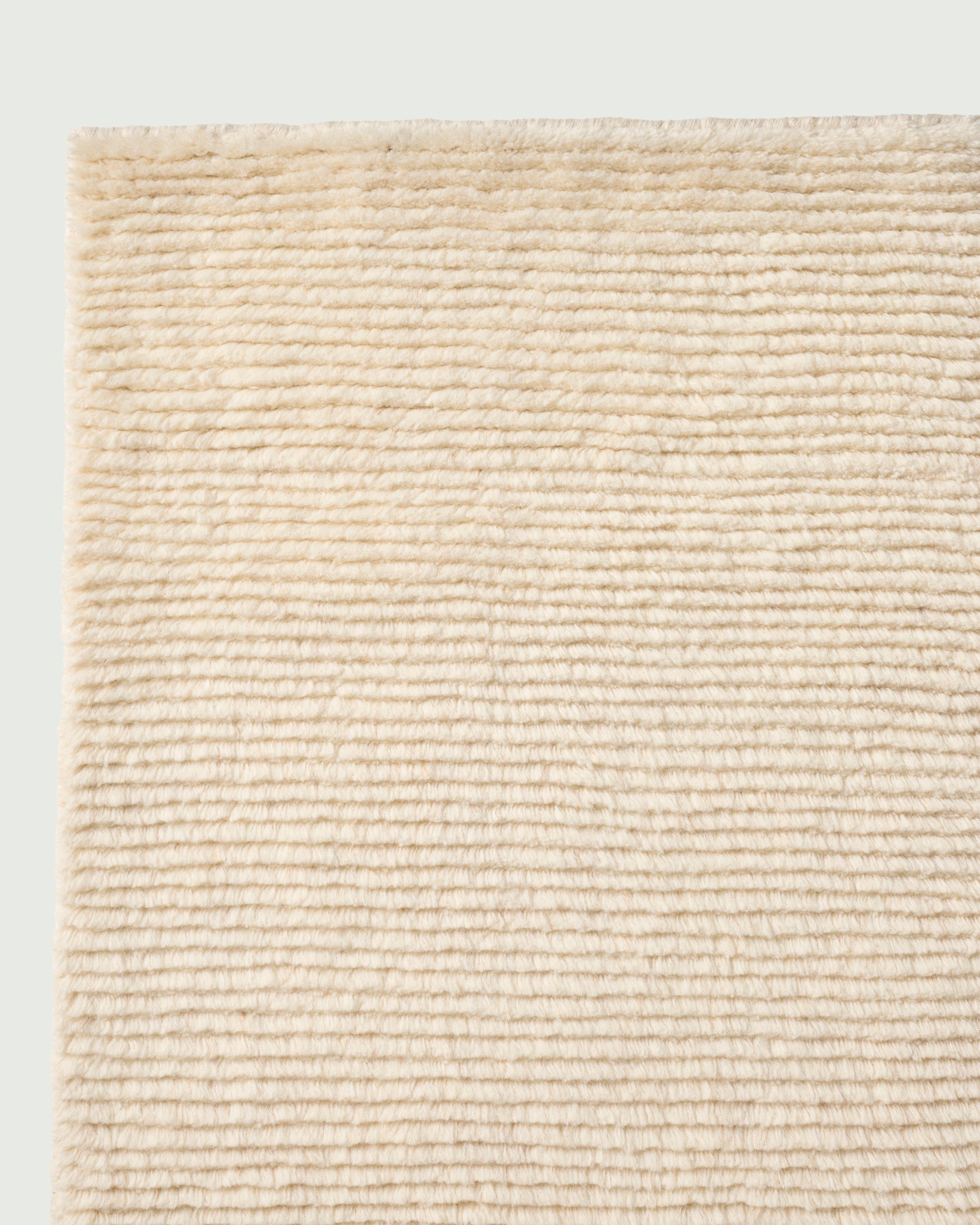 Sample of Echo Rug Bone